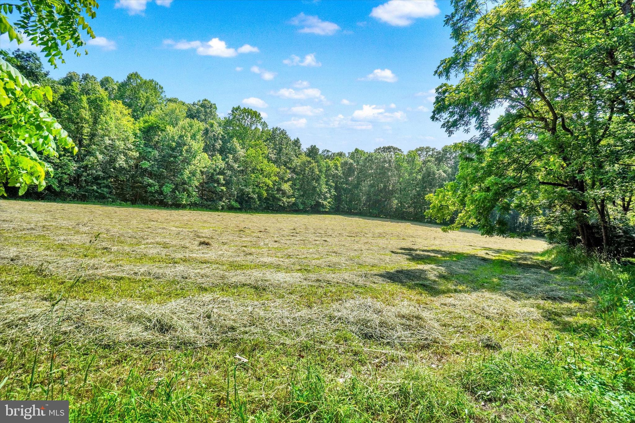 4299 Krebs Road Glenville, PA 17329 - Photo 68 of 85 Back hay field