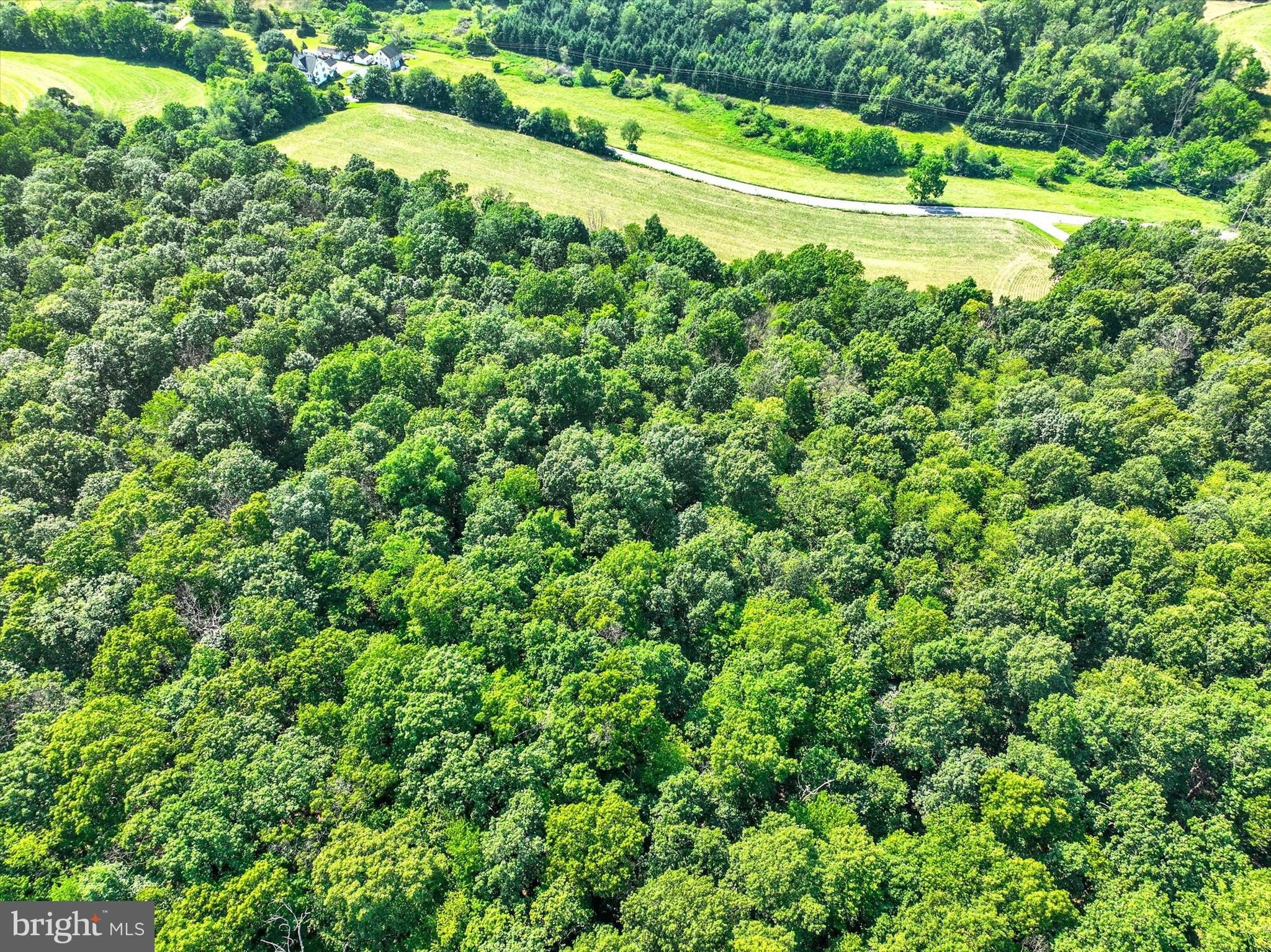 4299 Krebs Road Glenville, PA 17329 - Photo 77 of 85