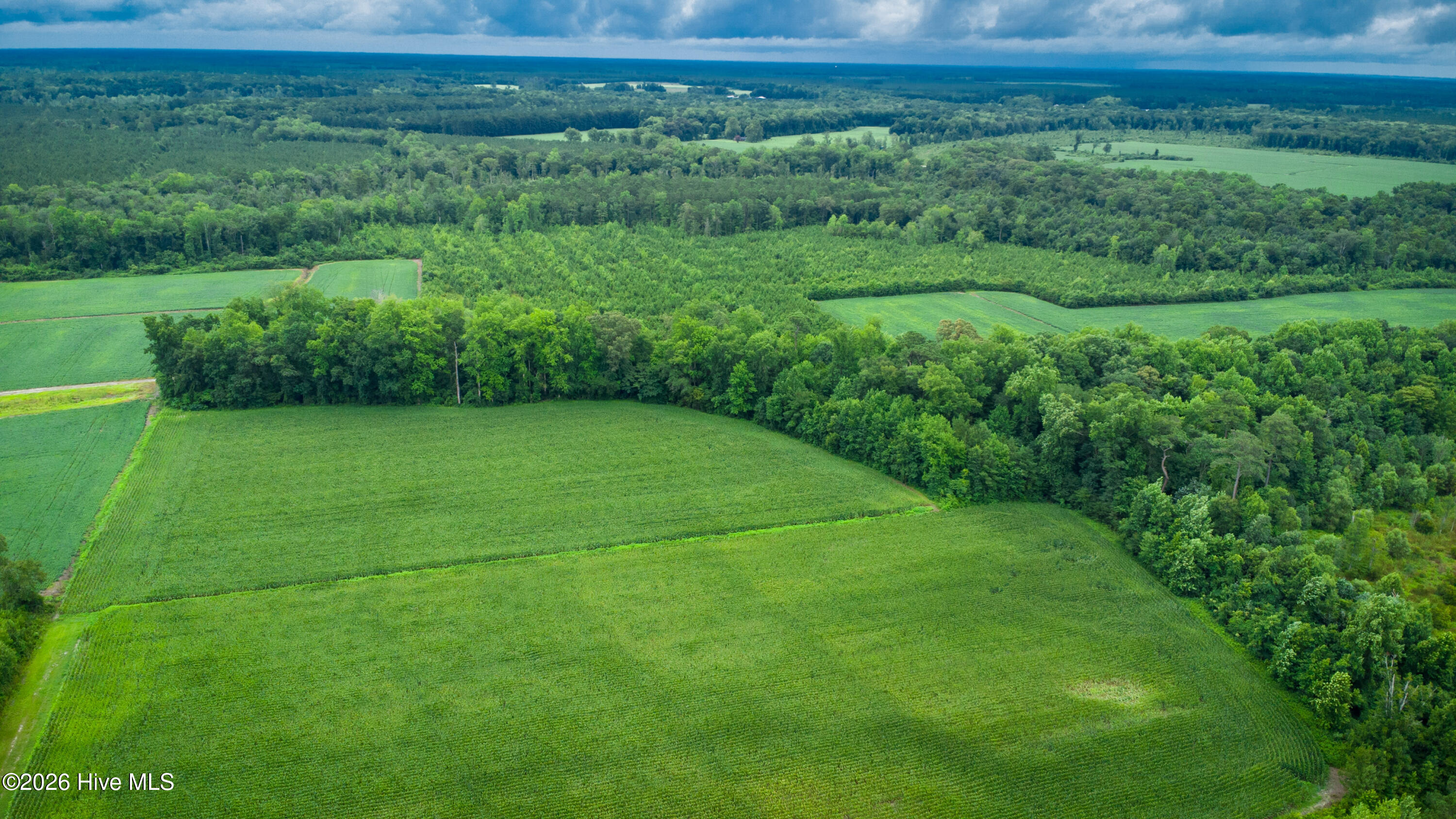 1601 Hill Neck Road Ernul, NC 28527 - Photo 22 of 33 Over 230 Acres of Opportunity