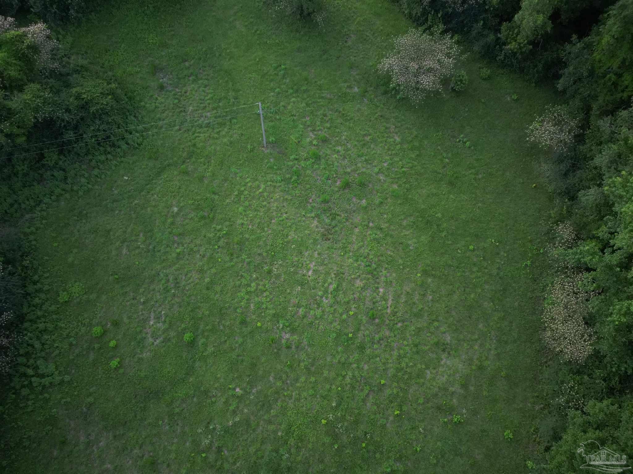 6701 Camp Henderson Road Jay, FL 32565 - Photo 8 of 13