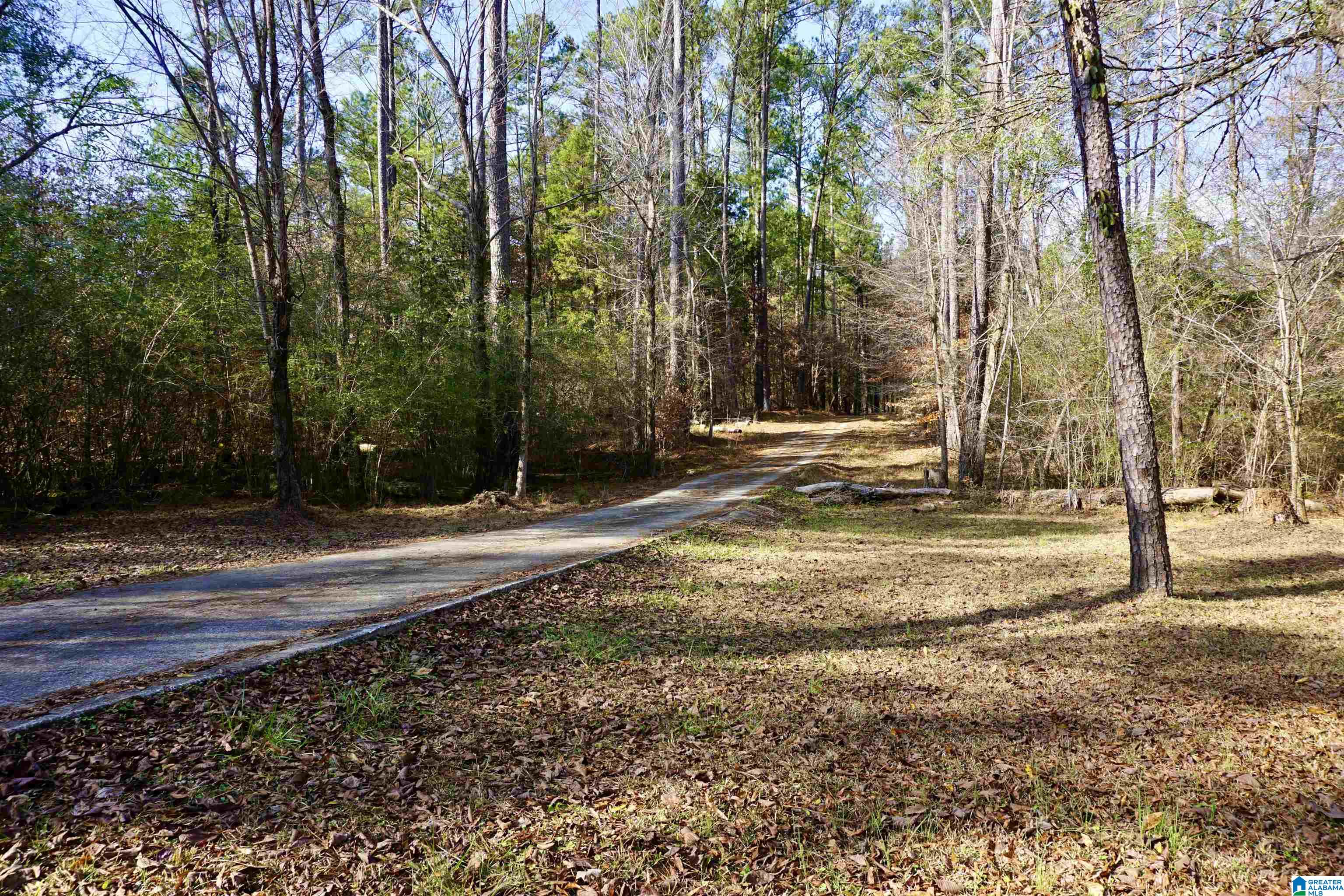 816 Pine Ridge Road Wellington, AL 36279 - Photo 59 of 71