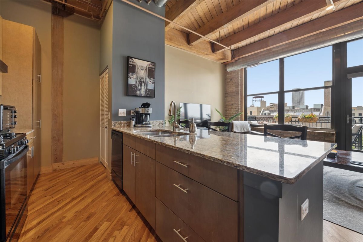 1040 West Adams Street, Unit 402 Chicago, IL 60607 - Photo 6 of 20