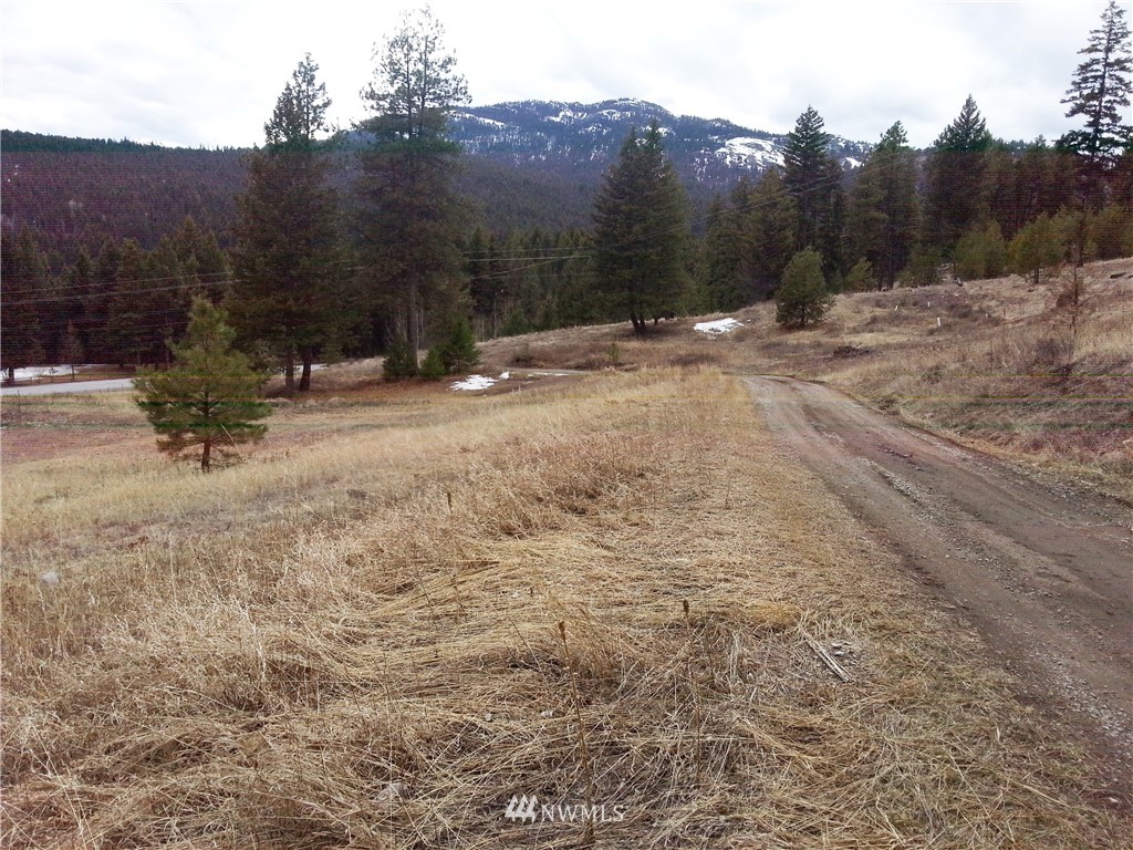 7 Starvation Ridge Road Republic, WA 99166 - Photo 18 of 22