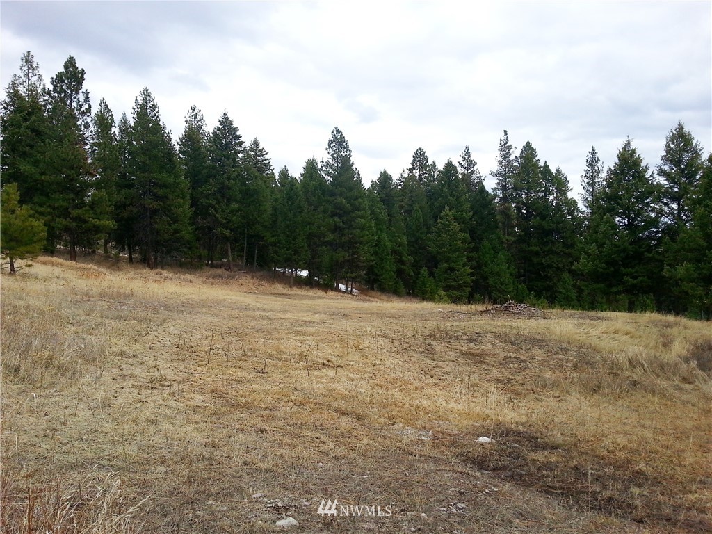 7 Starvation Ridge Road Republic, WA 99166 - Photo 19 of 22