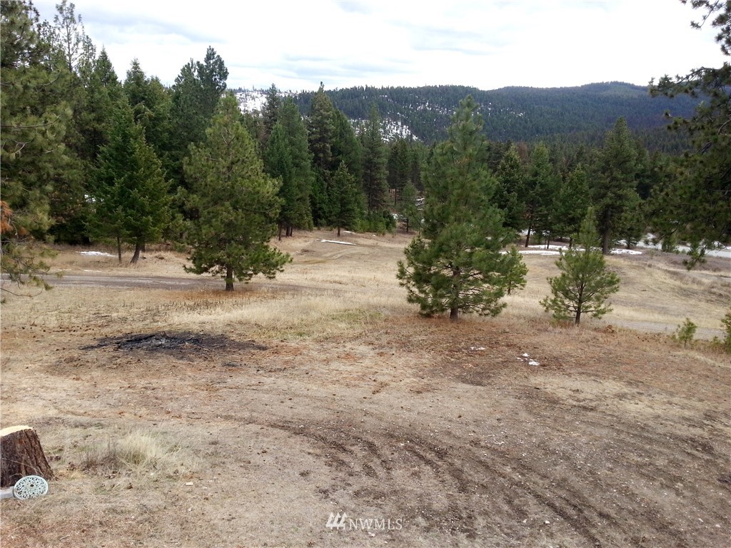 7 Starvation Ridge Road Republic, WA 99166 - Photo 3 of 22