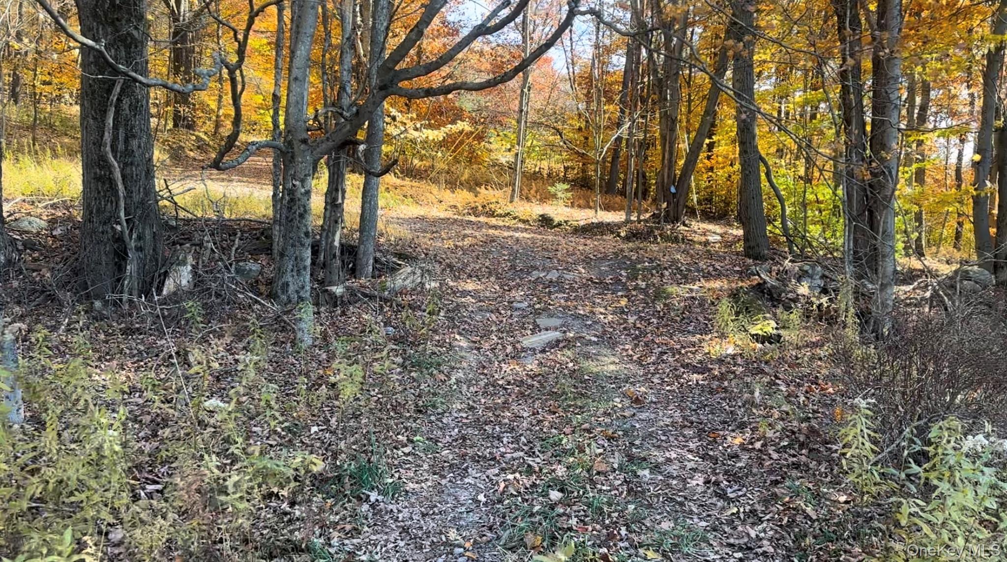 Chaffee Road Liberty, NY 12754 - Photo 7 of 7 Parking area from road onto the property.