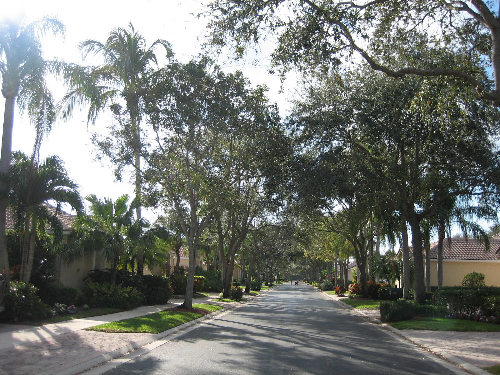 5189 Brookview Drive Boynton Beach, FL 33437 - Photo 2 of 57 Treeline street