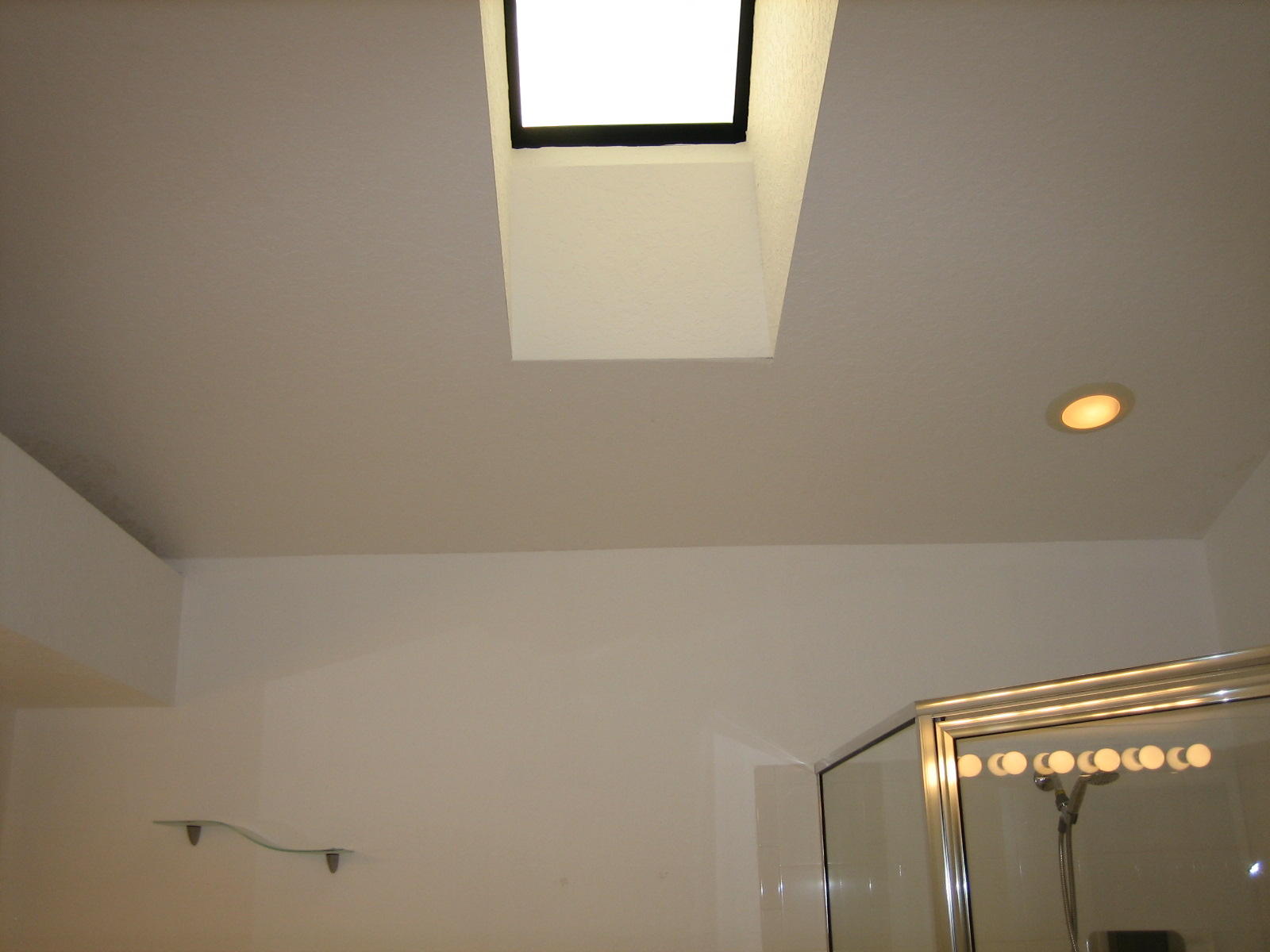 5189 Brookview Drive Boynton Beach, FL 33437 - Photo 31 of 57 skylight master bath