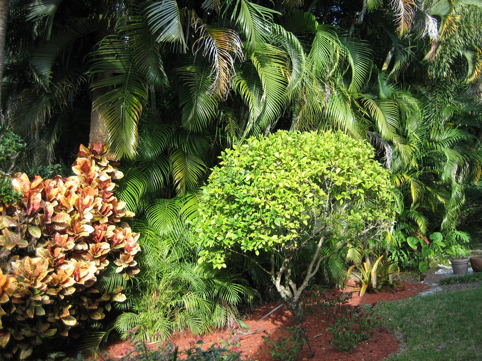 5189 Brookview Drive Boynton Beach, FL 33437 - Photo 49 of 57 Lush landscaping