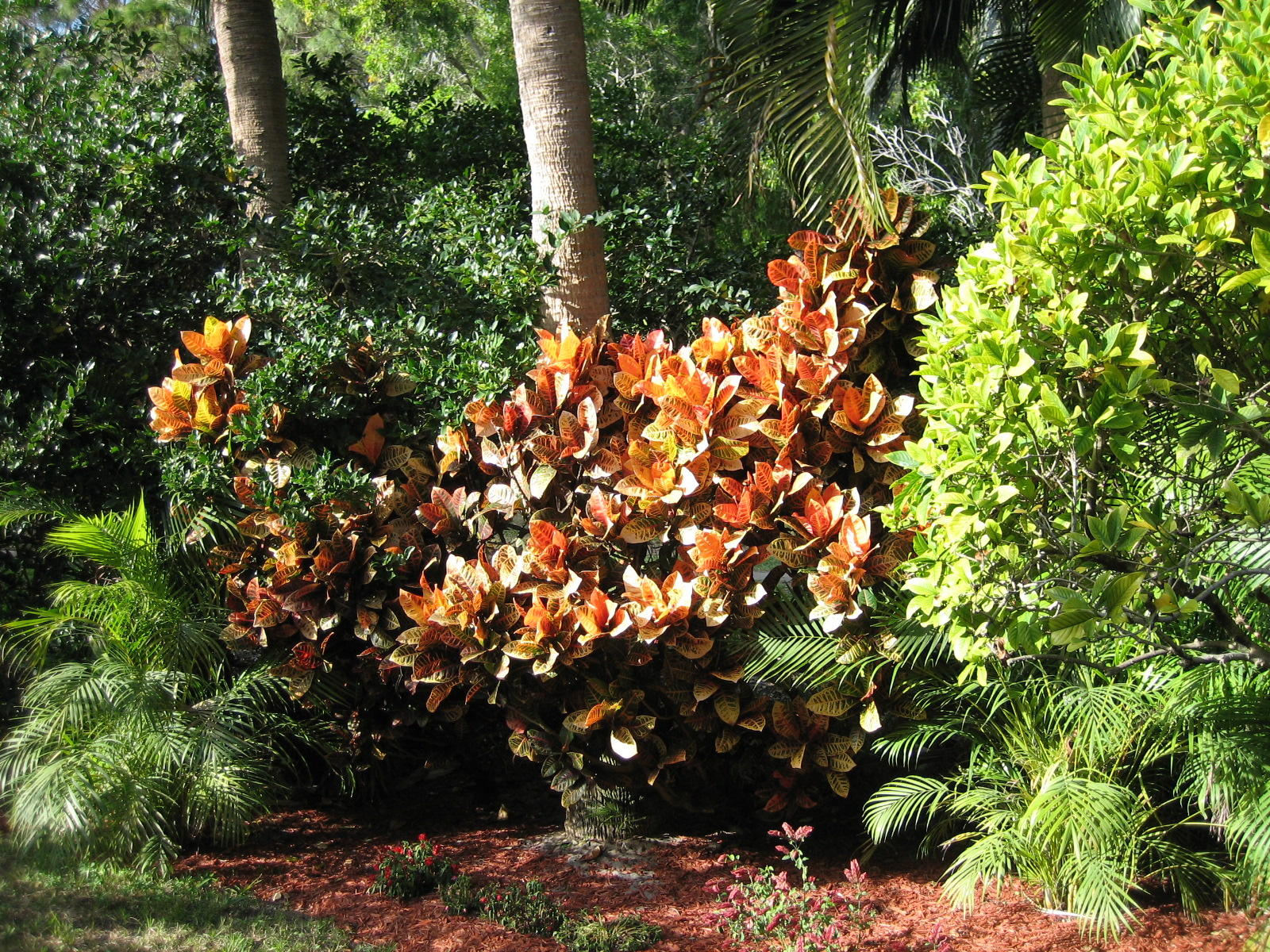 5189 Brookview Drive Boynton Beach, FL 33437 - Photo 50 of 57 garden view