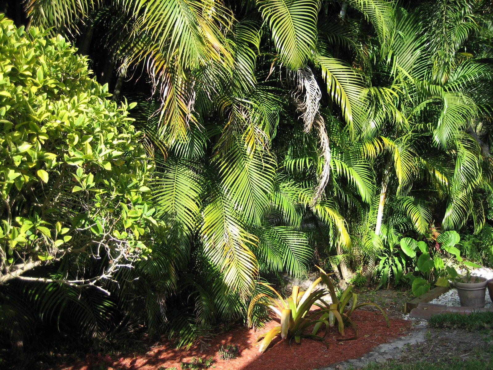 5189 Brookview Drive Boynton Beach, FL 33437 - Photo 51 of 57 great view