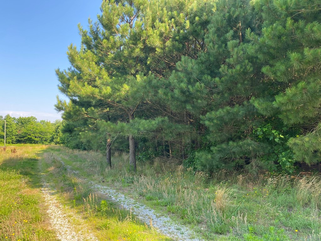 0 Hopeton Road, Unit 2 Bloxom, VA 23308 - Photo 3 of 3