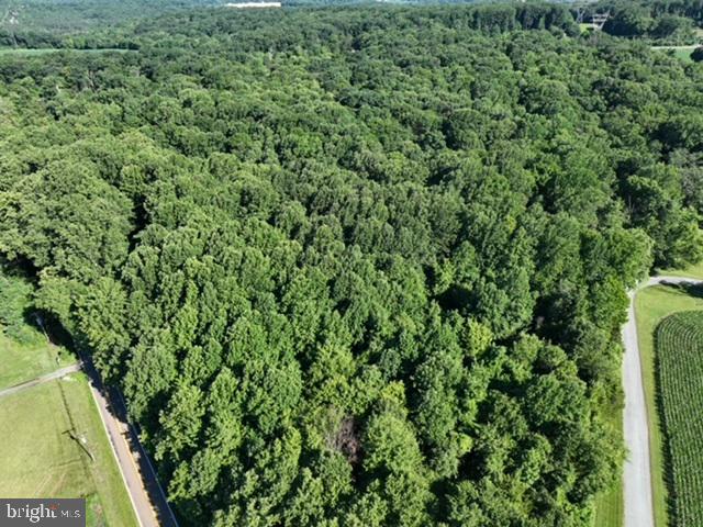 0 Rock Springs Road Conowingo, MD 21918 - Photo 31 of 79