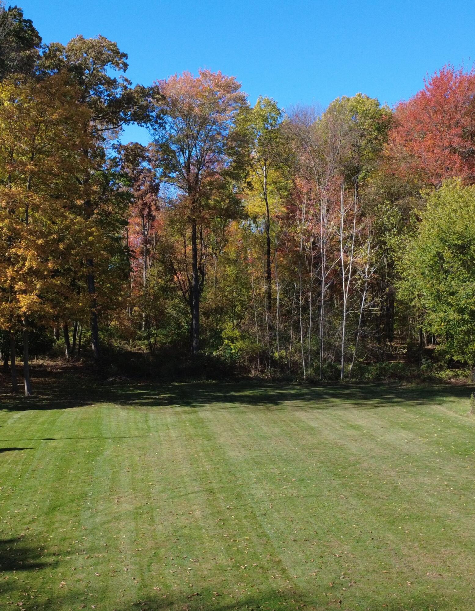 8040 South Backus Road Greenville, MI 48838 - Photo 6 of 7 DJI_0027