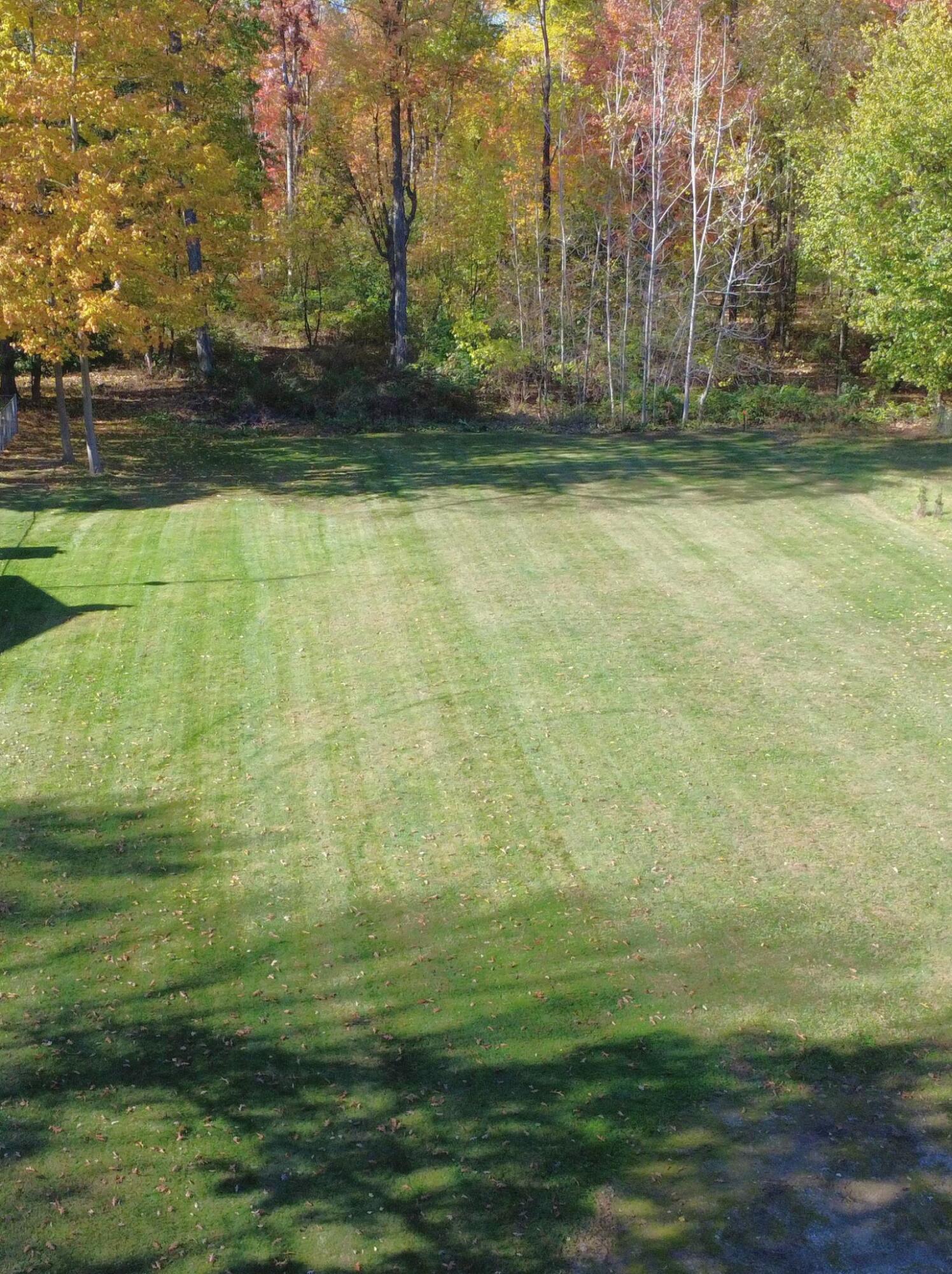 8040 South Backus Road Greenville, MI 48838 - Photo 7 of 7 DJI_0028