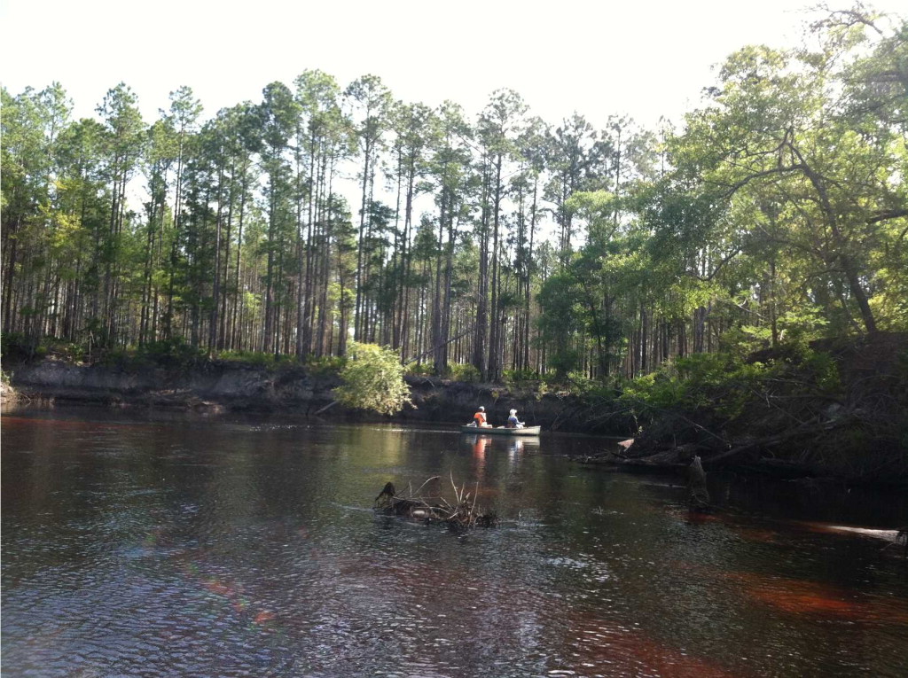 325 River Road Carrabelle, FL 32322 - Photo 23 of 23 Gallery Image 23