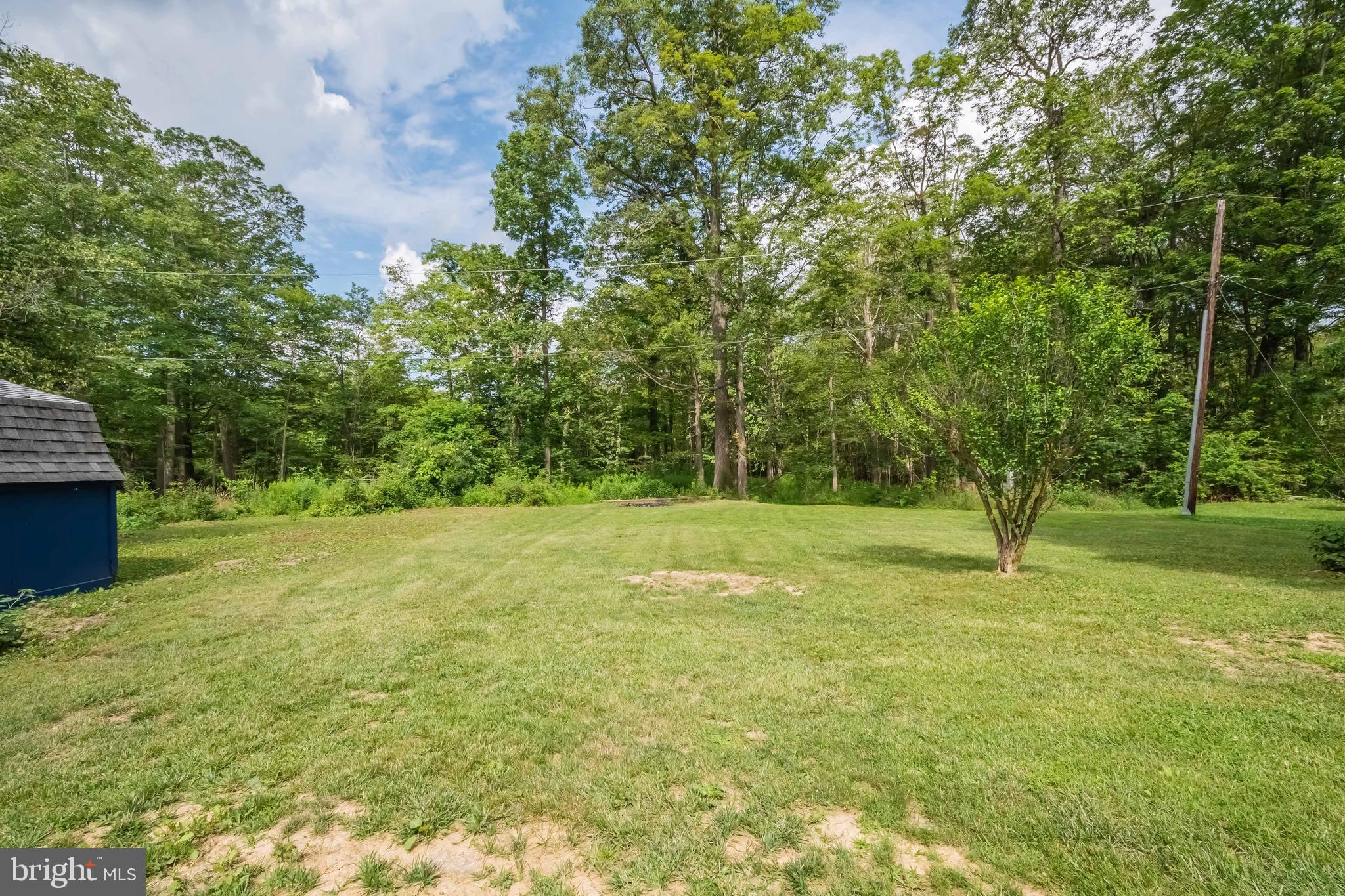 4211 Chestnut Ridge Road Grantsville, MD 21536 - Photo 9 of 43 a view of a garden with trees