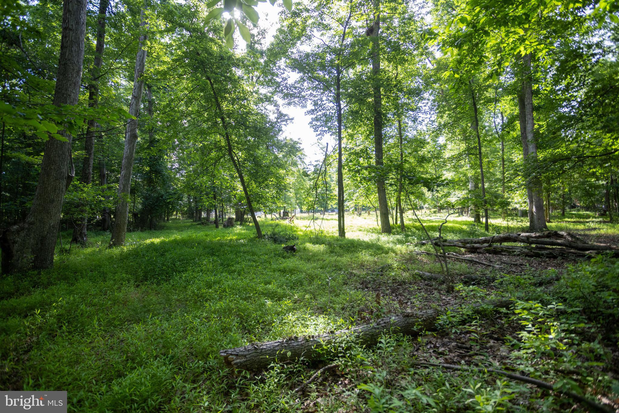 110 Cold Springs Road Carlisle, PA 17015 - Photo 21 of 25