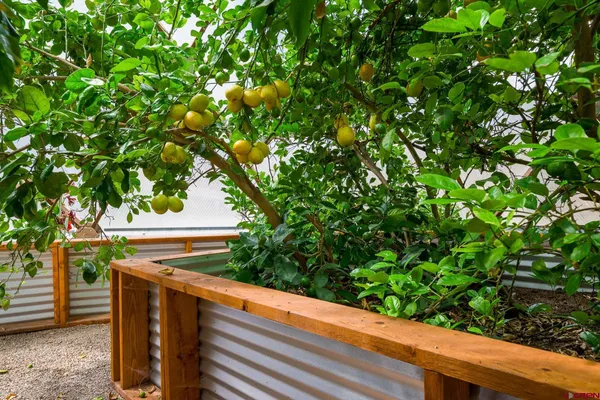 a view of outside area
