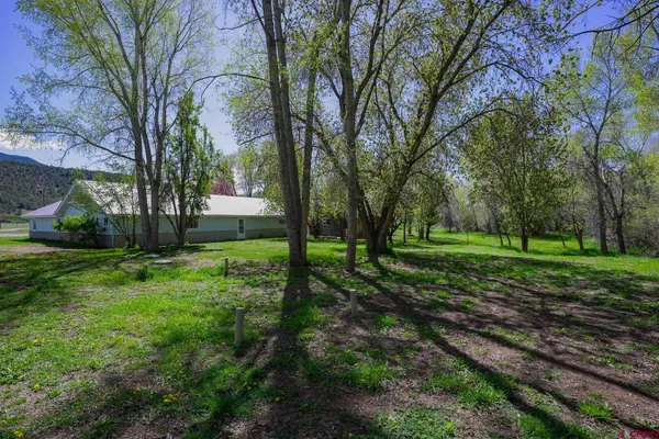 a view of a yard with tree s