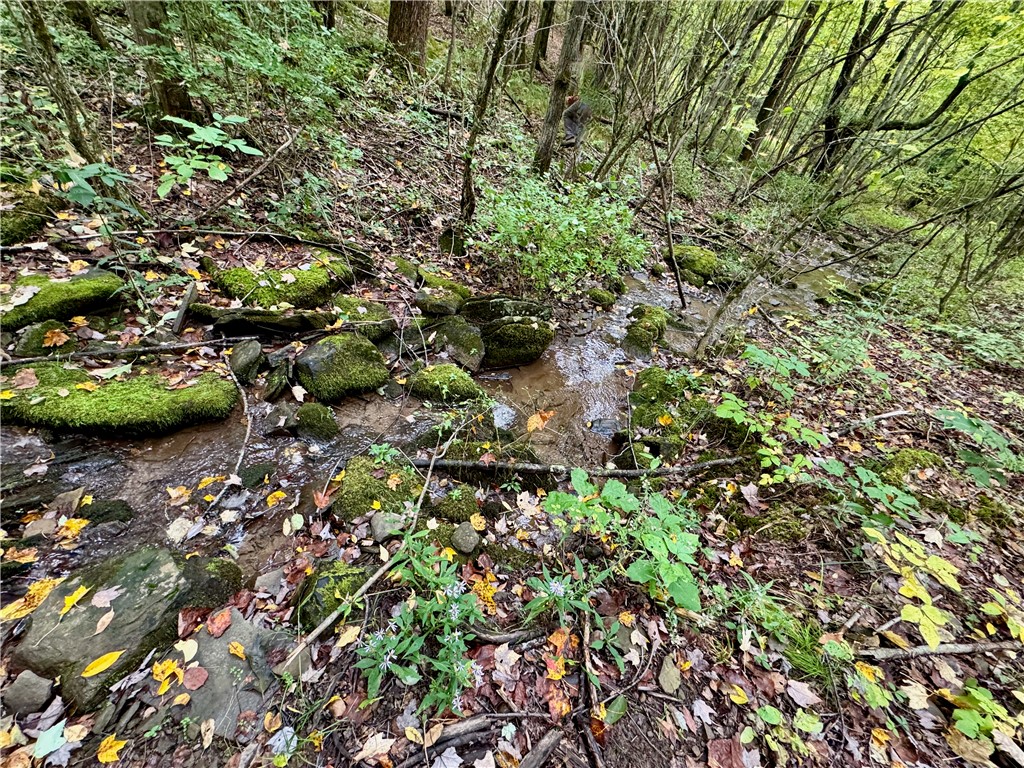 Gallop Hill Road Walton, NY 13856 - Photo 23 of 48 Stream
