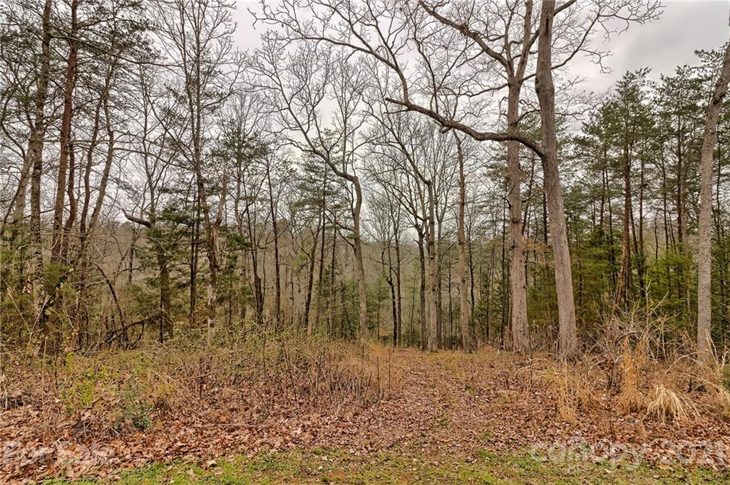 440 Narrow Gauge Road Dallas, NC 28034 - Photo 6 of 28 Gallery Image 6