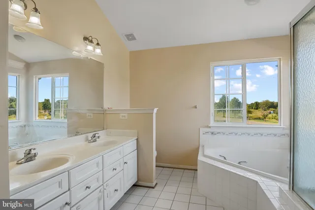 a bathroom with a double vanity sink and a bathtub
