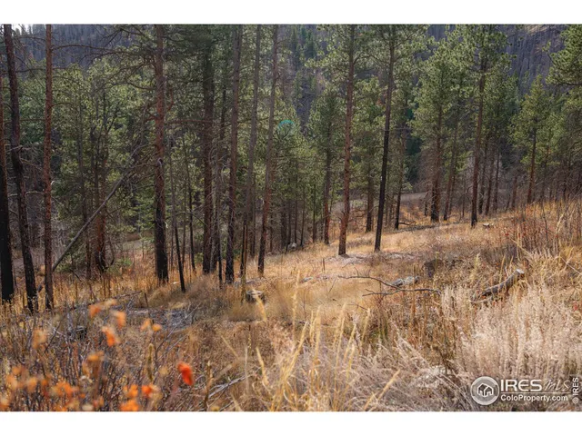 a view of backyard with green space