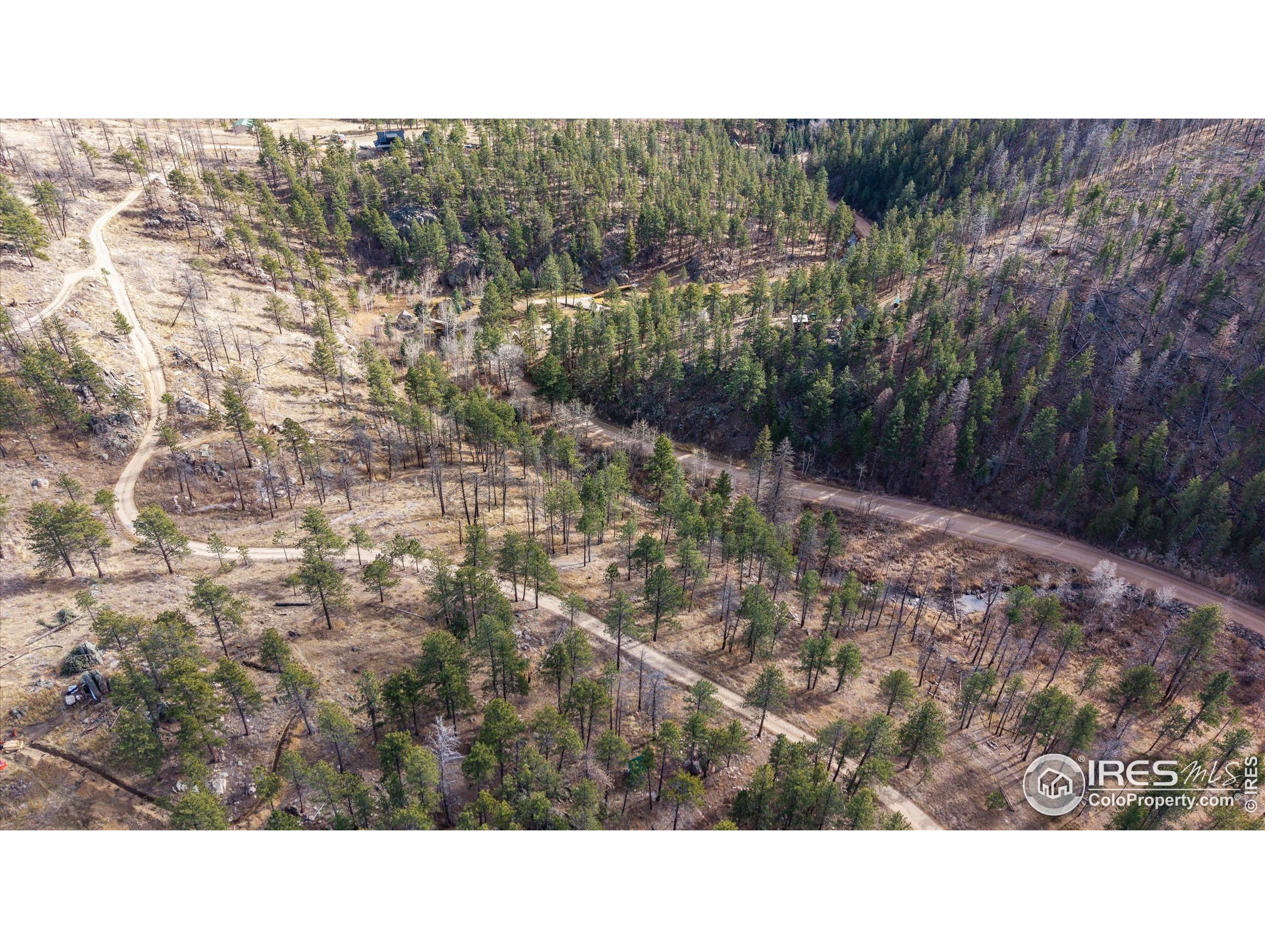 0 Cougar Court Bellvue, CO 80512 - Photo 12 of 32 a black and white photo of a house
