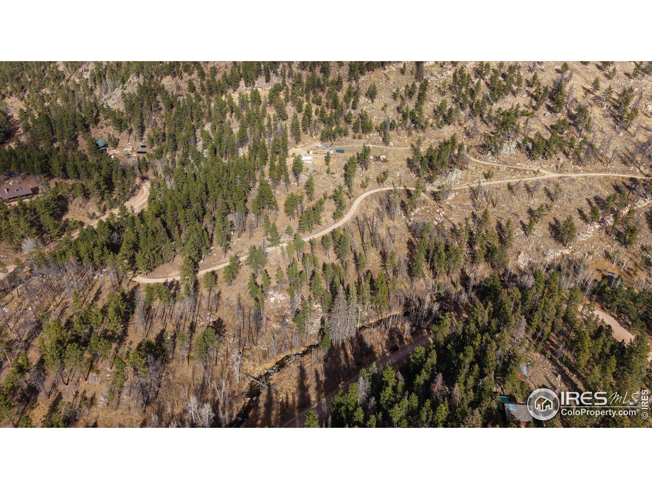 0 Cougar Court Bellvue, CO 80512 - Photo 15 of 32 a black and white photo of a tree