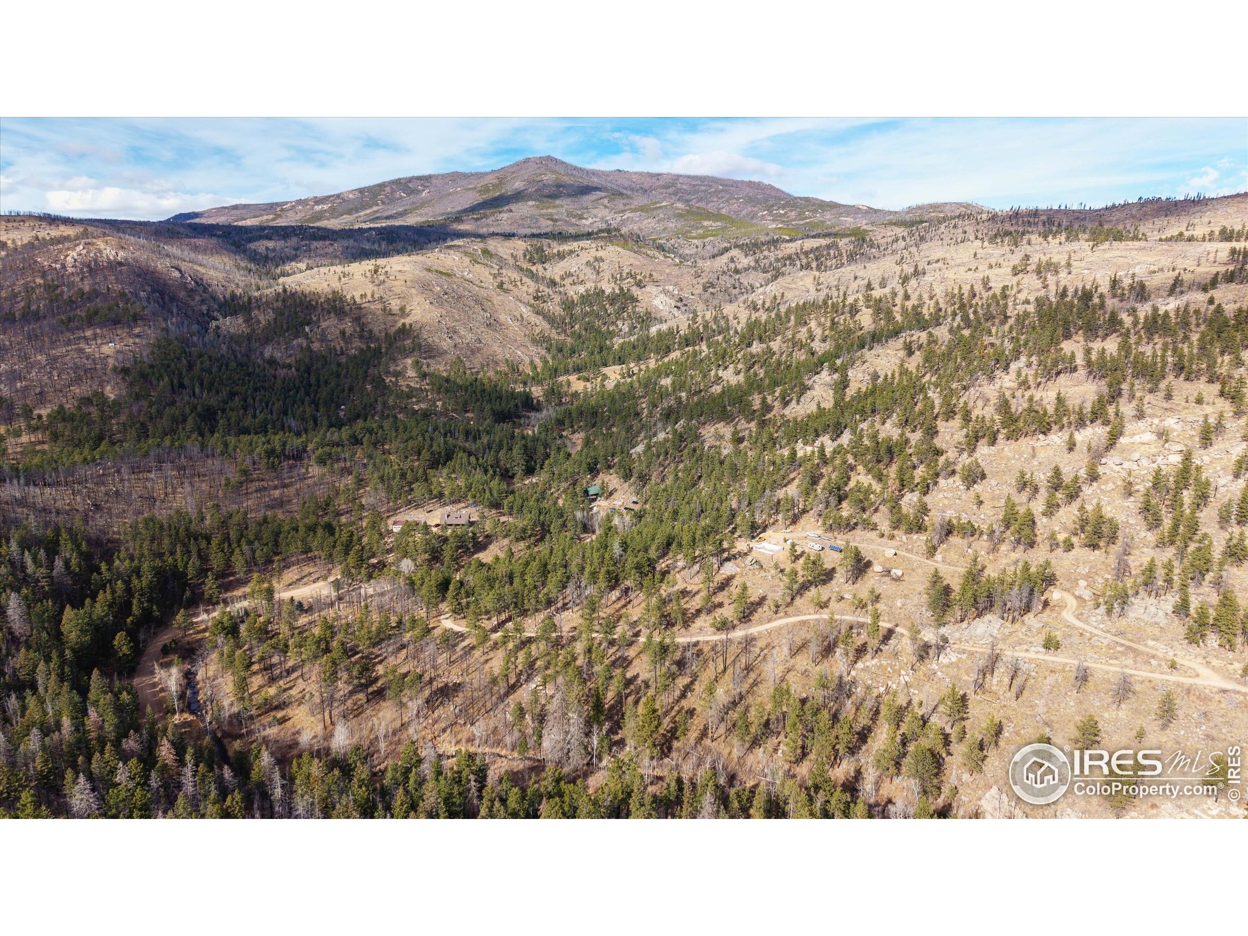 0 Cougar Court Bellvue, CO 80512 - Photo 16 of 32 a black and white photo of a field