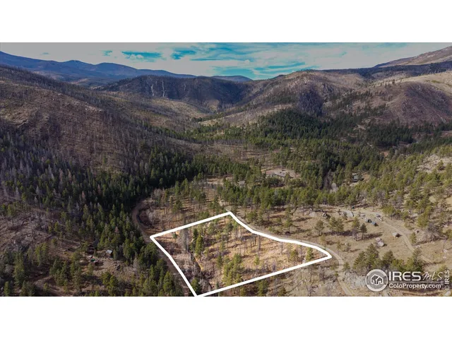 a black and white photo of a lake