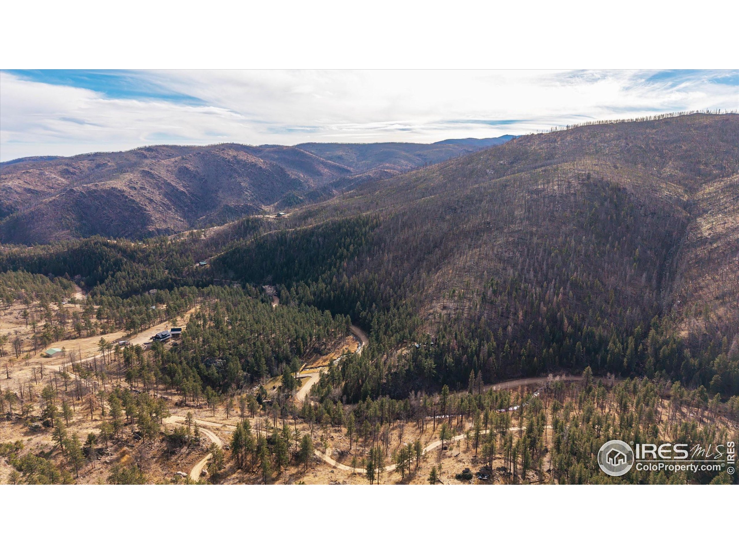 0 Cougar Court Bellvue, CO 80512 - Photo 20 of 32 a black and white photo of a mountain