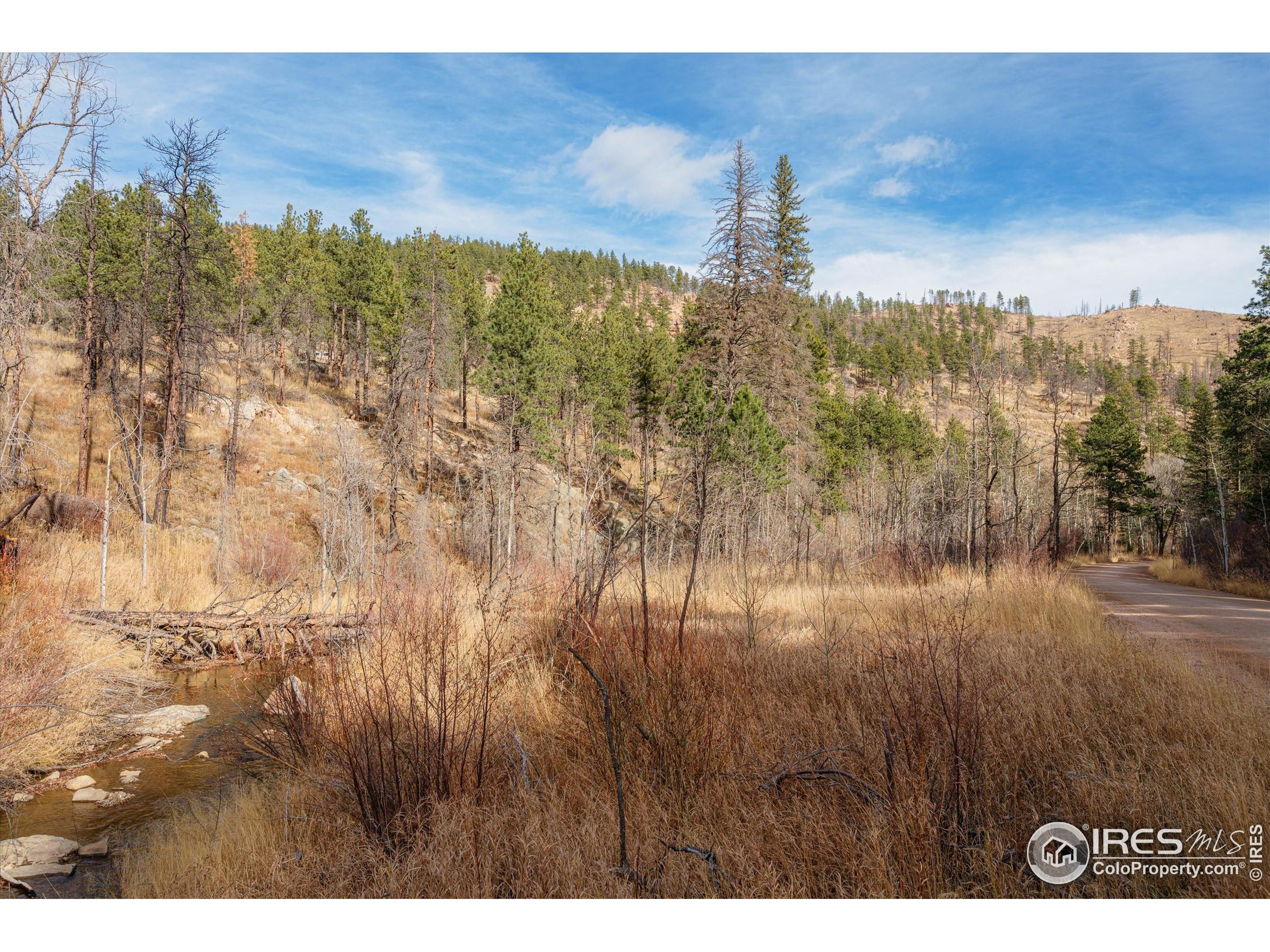 0 Cougar Court Bellvue, CO 80512 - Photo 2 of 32 a view of a town with mountains in the background