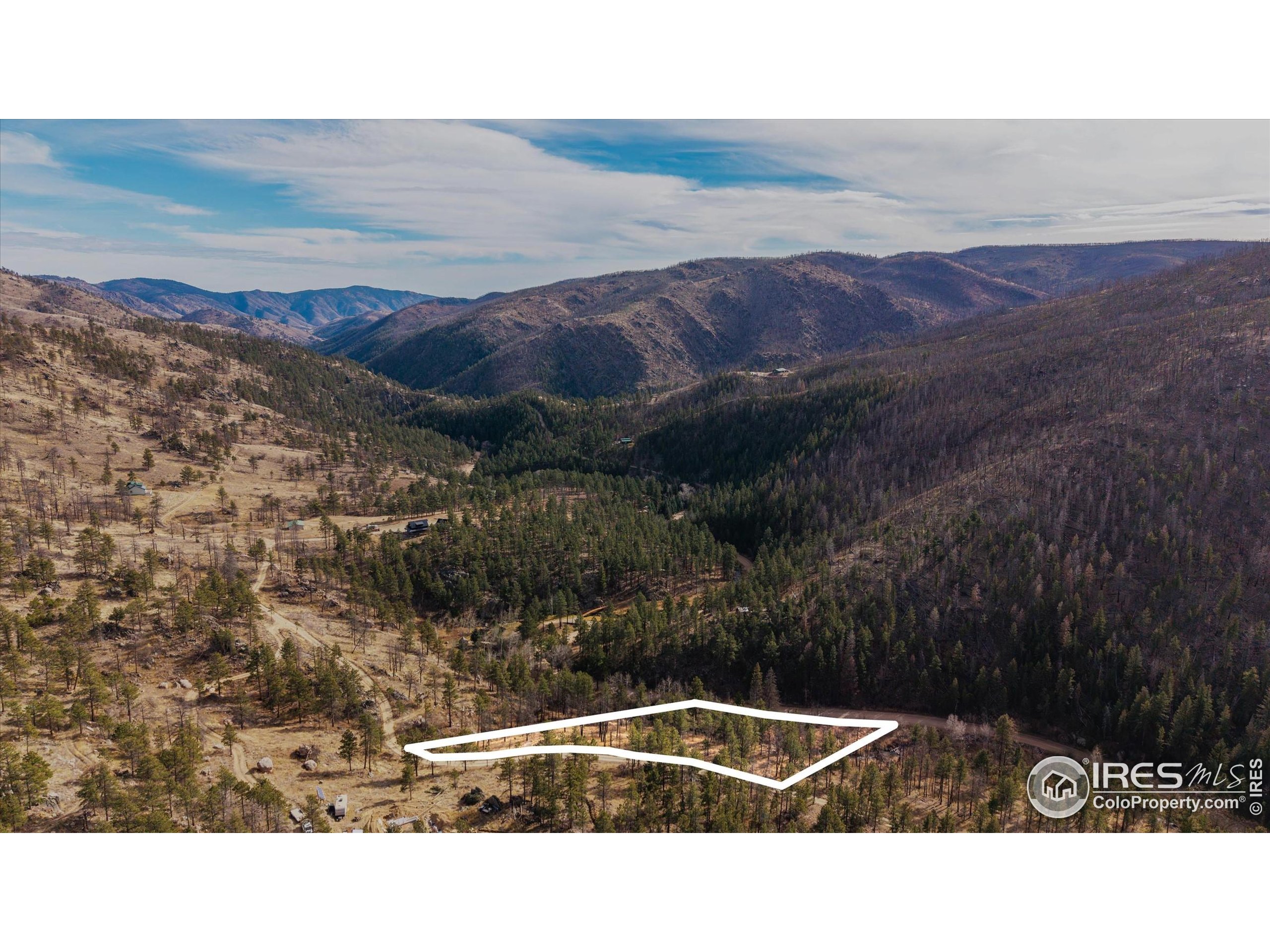 0 Cougar Court Bellvue, CO 80512 - Photo 21 of 32 a view of outdoor space with mountain view