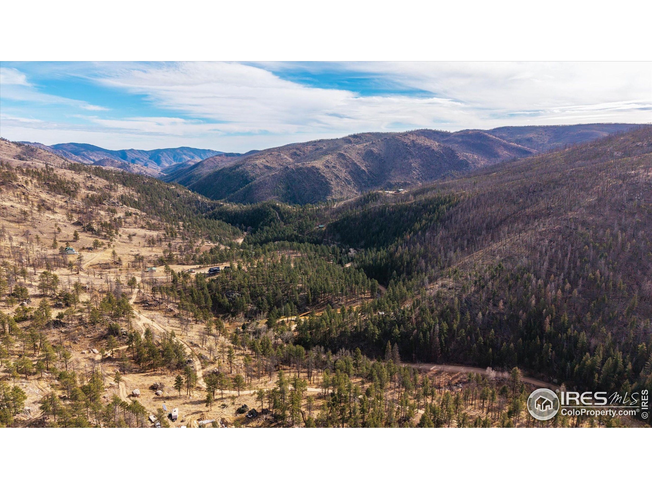 0 Cougar Court Bellvue, CO 80512 - Photo 22 of 32 a black and white photo of a city