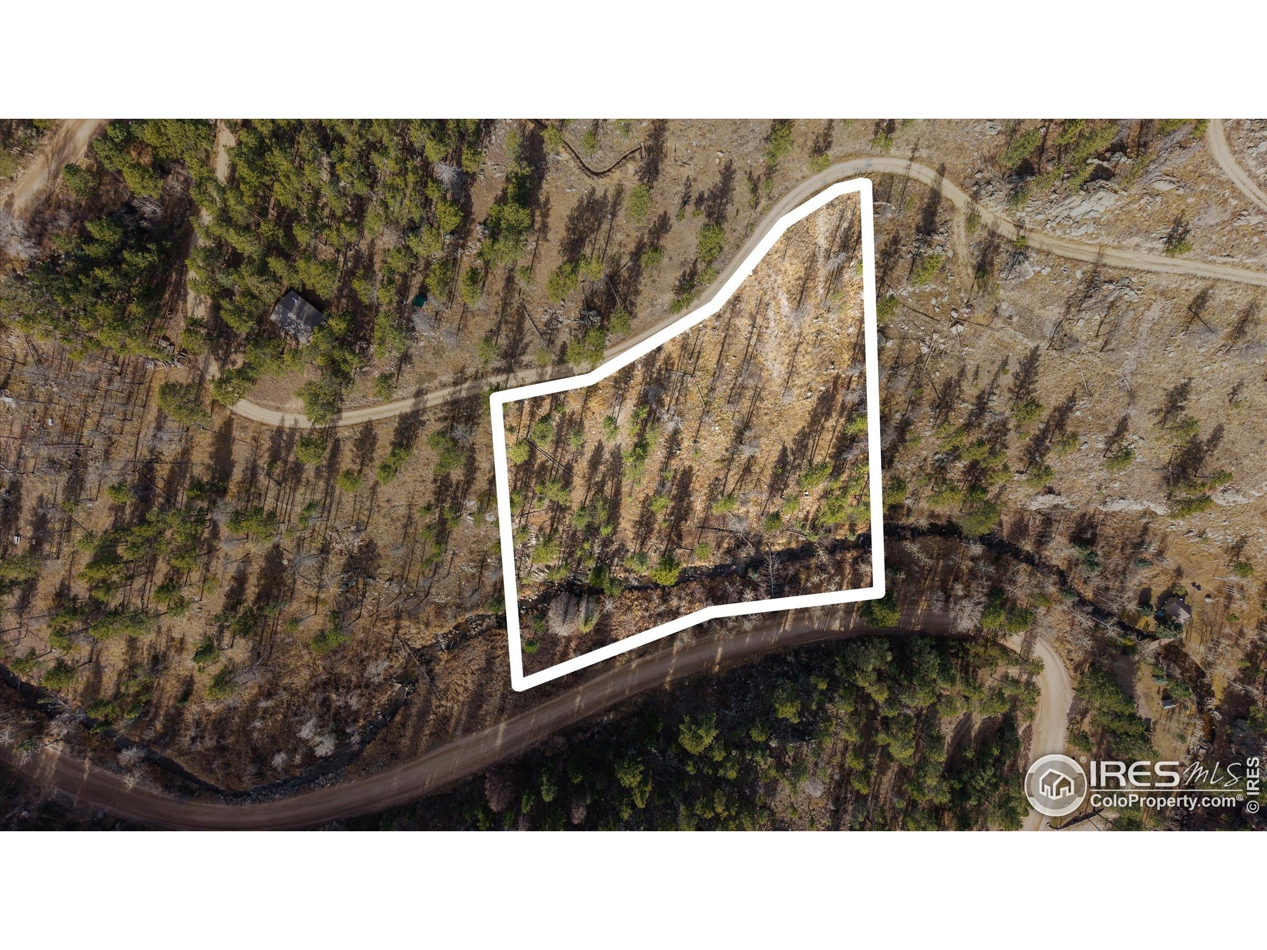 0 Cougar Court Bellvue, CO 80512 - Photo 23 of 32 a black and white photo of a house