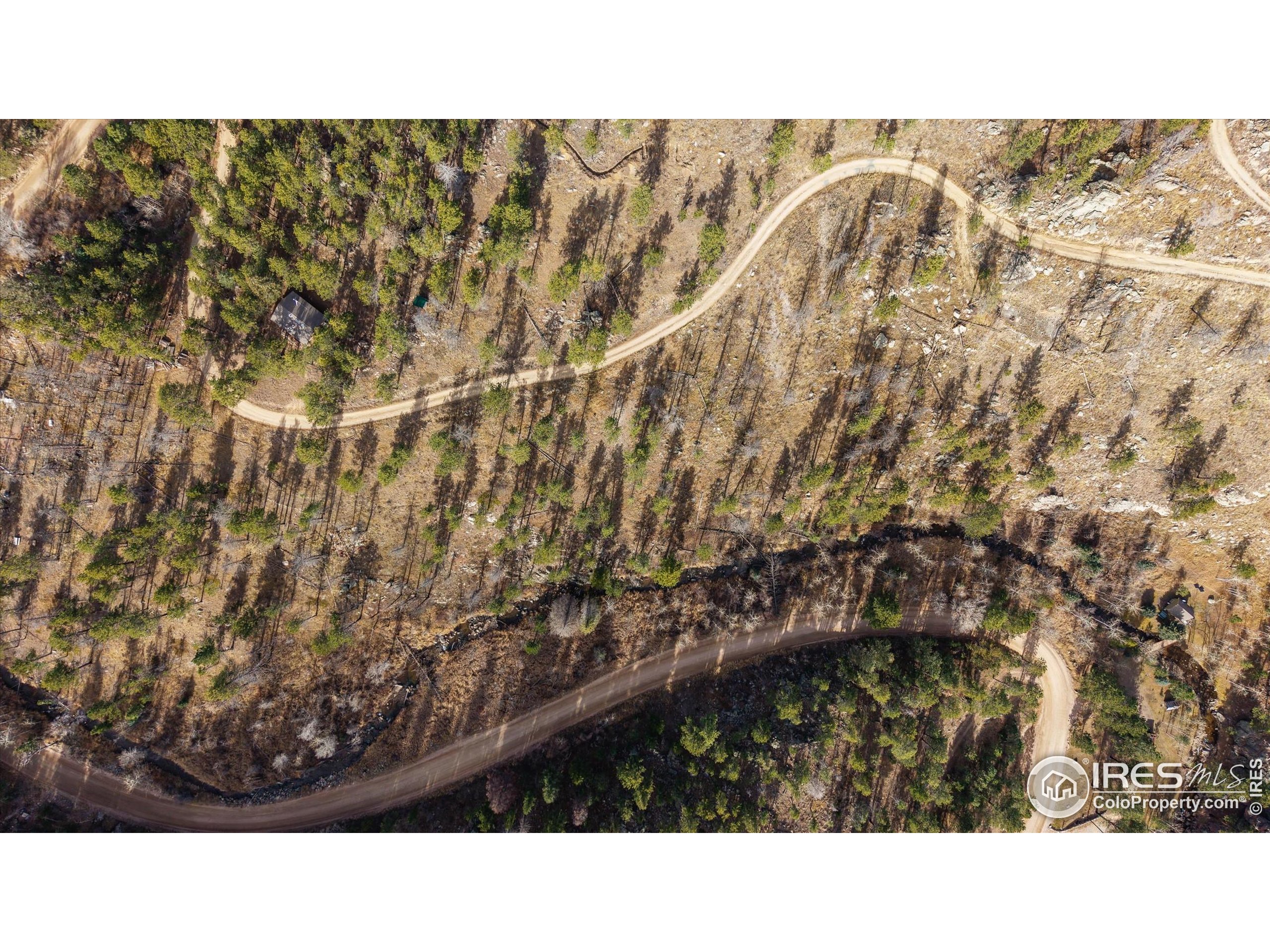 0 Cougar Court Bellvue, CO 80512 - Photo 24 of 32 a black and white photo of a green field