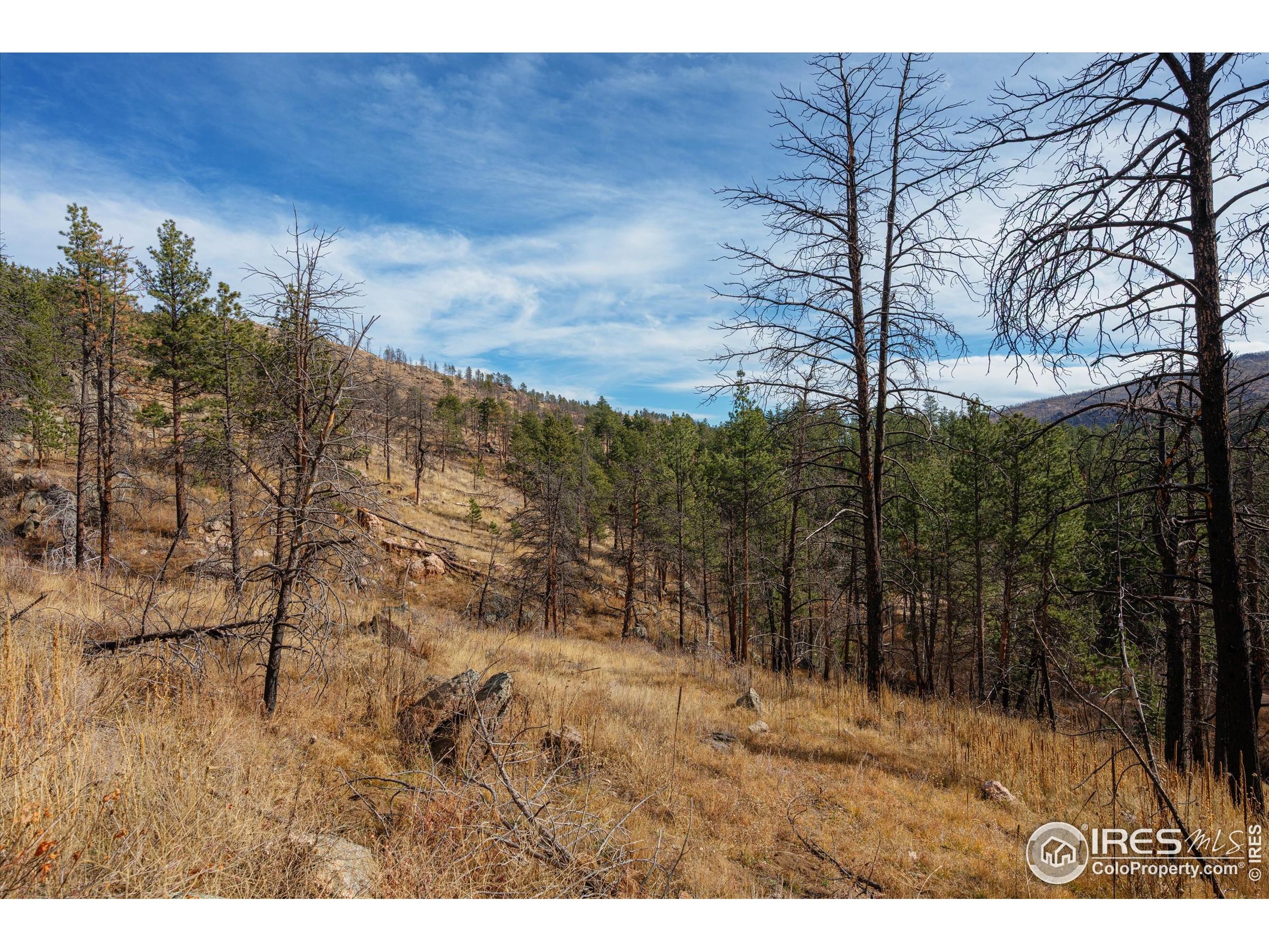 0 Cougar Court Bellvue, CO 80512 - Photo 28 of 32 a view of outdoor space with mountain view