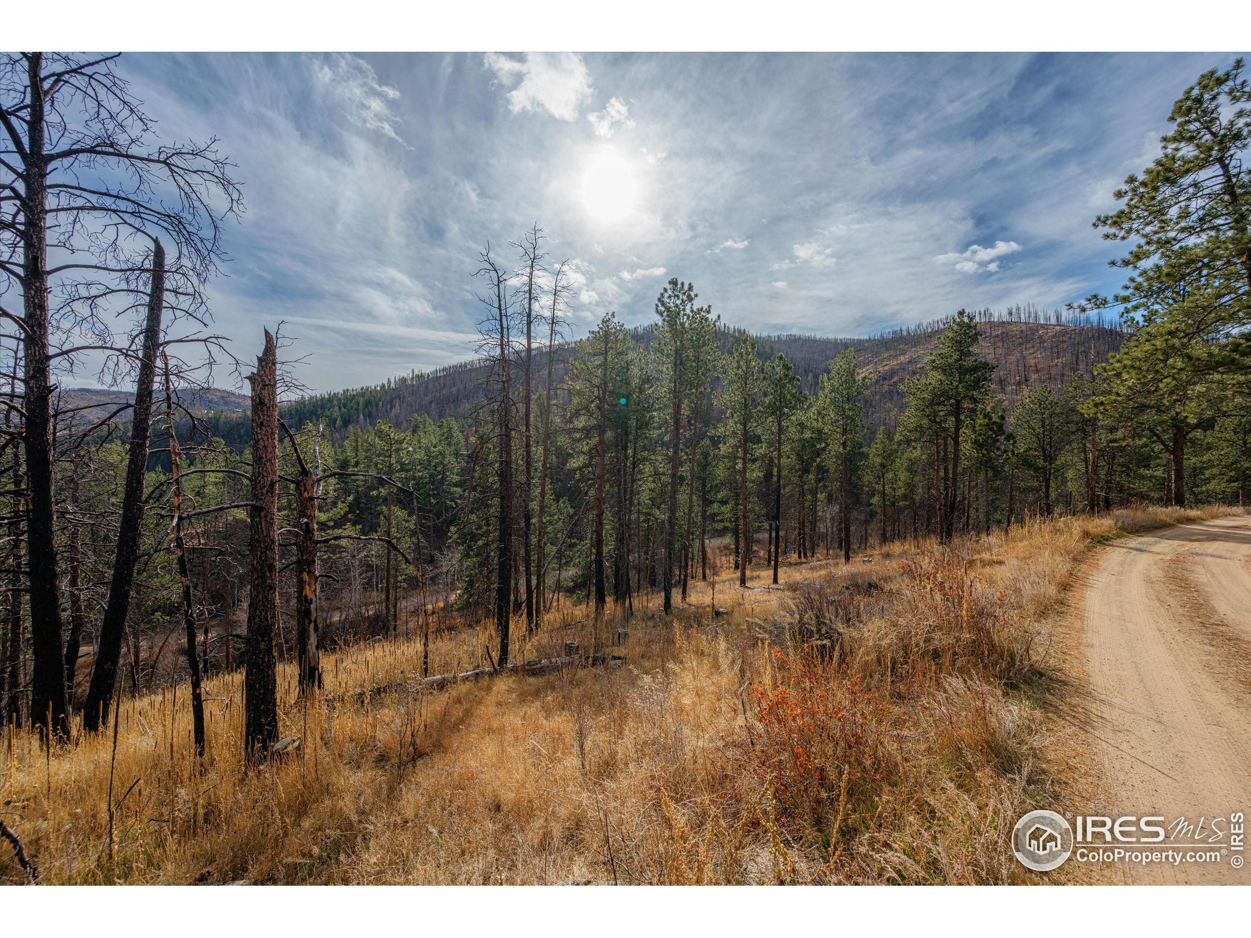 0 Cougar Court Bellvue, CO 80512 - Photo 30 of 32