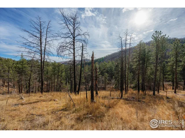 a view of outdoor space with trees