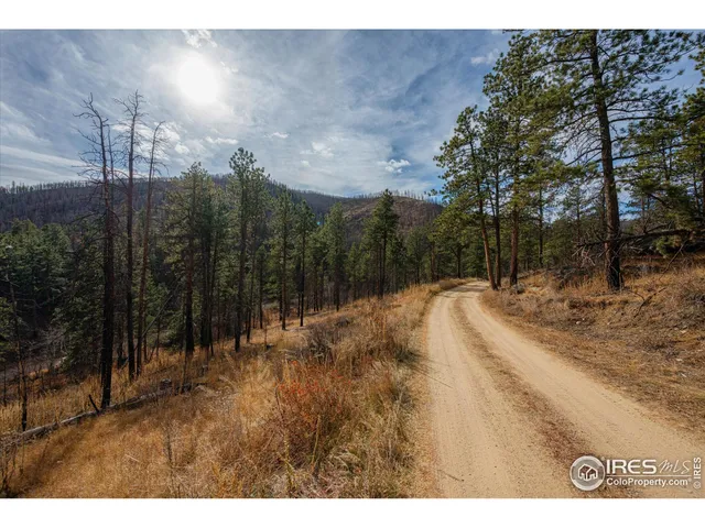 $85,000 | 0 Cougar Court, Bellvue, CO 80512