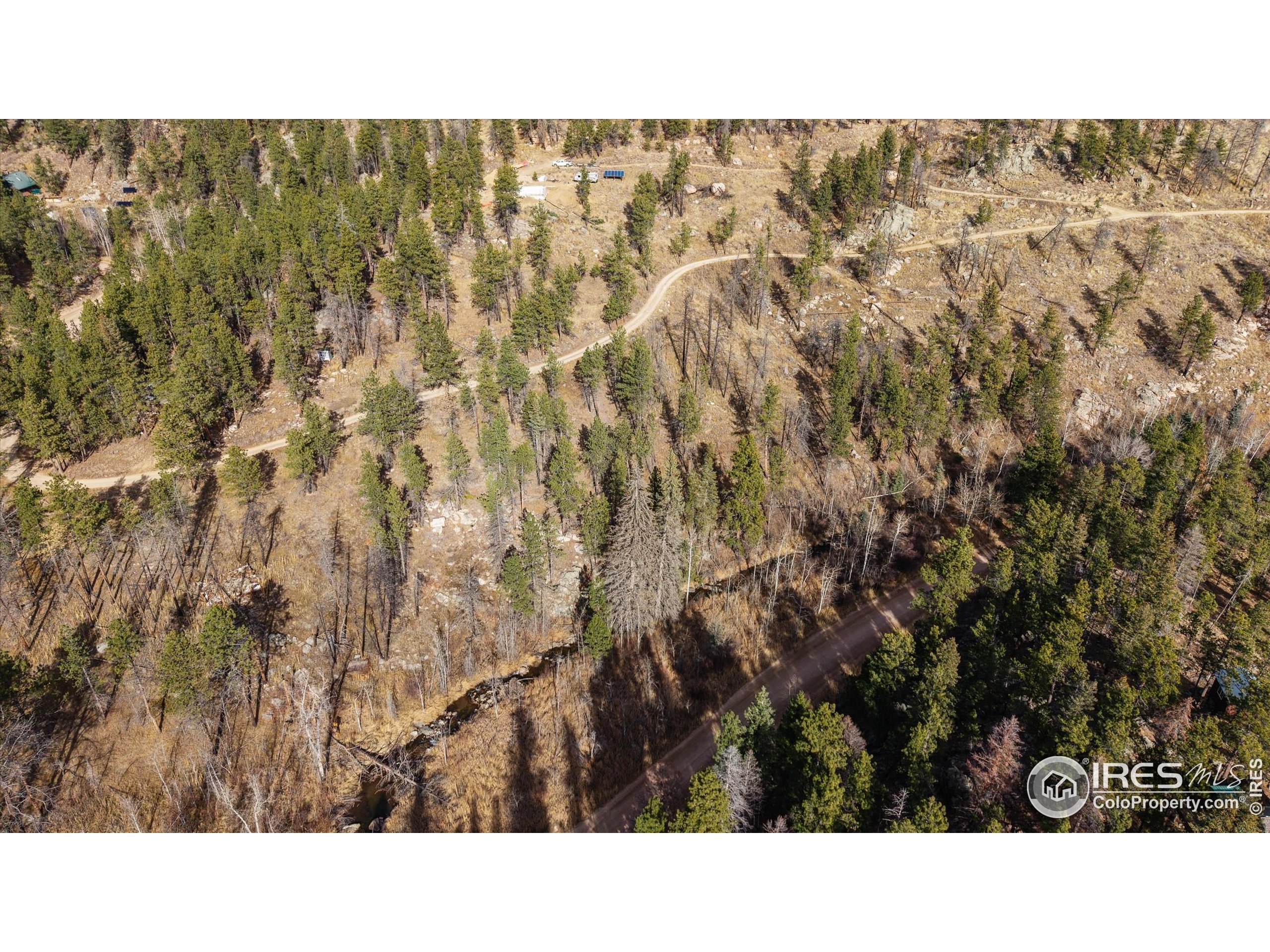 0 Cougar Court Bellvue, CO 80512 - Photo 4 of 32 a black and white photo of a forest