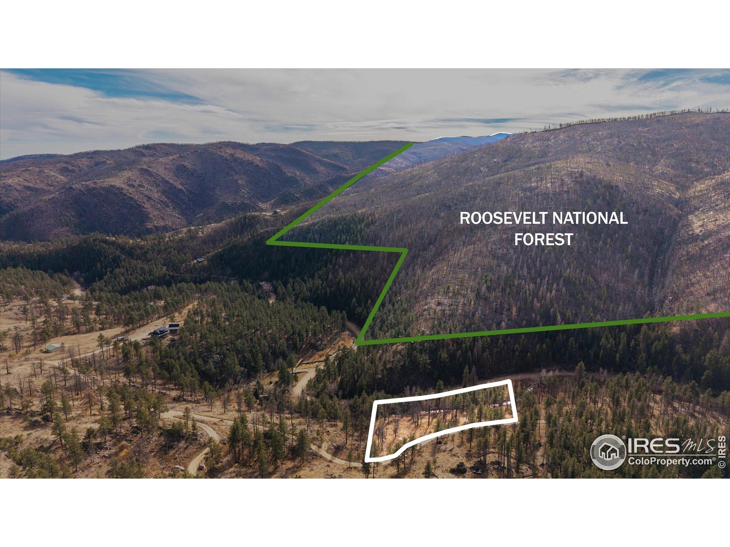 0 Cougar Court Bellvue, CO 80512 - Photo 6 of 32 a black and white photo of a park