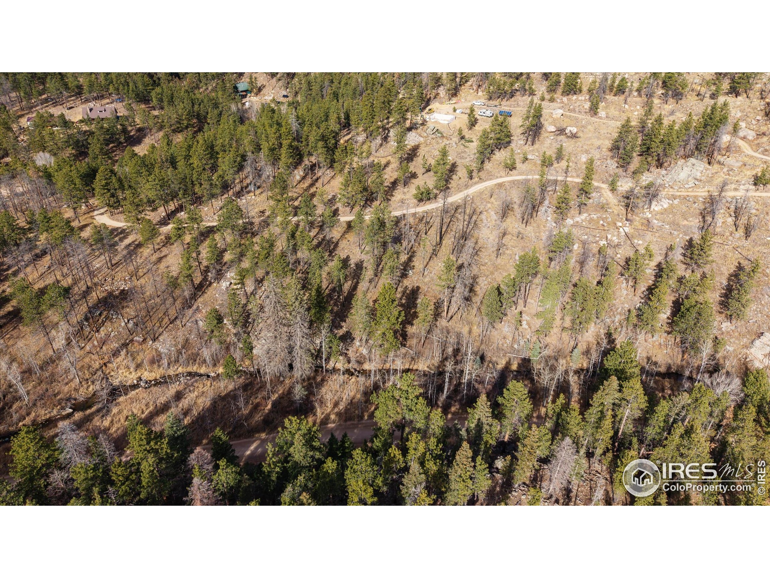 0 Cougar Court Bellvue, CO 80512 - Photo 10 of 32 a bathroom with a sink and a mirror