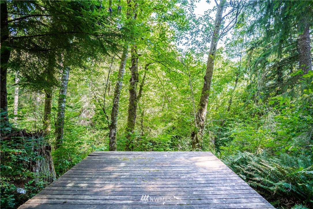 14306 Vantine Road Southeast Tenino, WA 98589 - Photo 28 of 34 Gallery Image 28