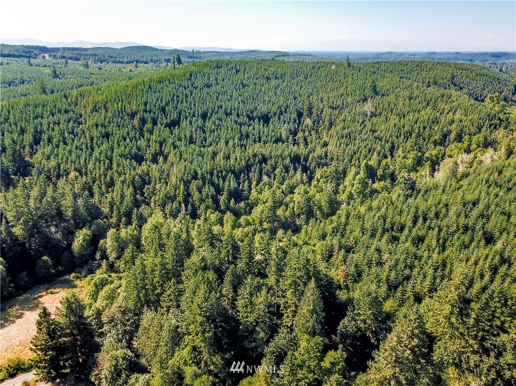 14306 Vantine Road Southeast Tenino, WA 98589 - Photo 7 of 34 Gallery Image 7