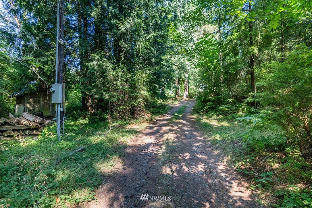 14306 Vantine Road Southeast Tenino, WA 98589 - Photo 9 of 34 Gallery Image 9