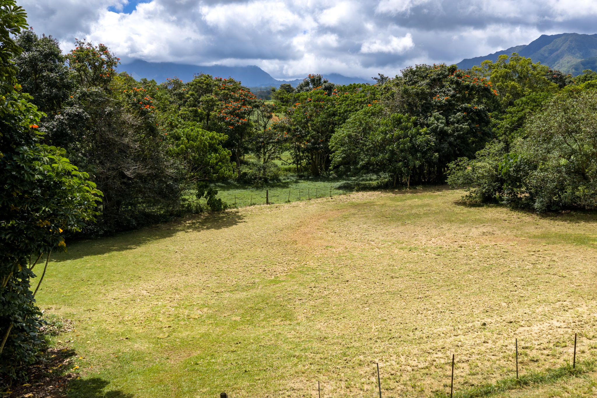 Puuopae Road Kapaa, HI 96746 - Photo 4 of 23