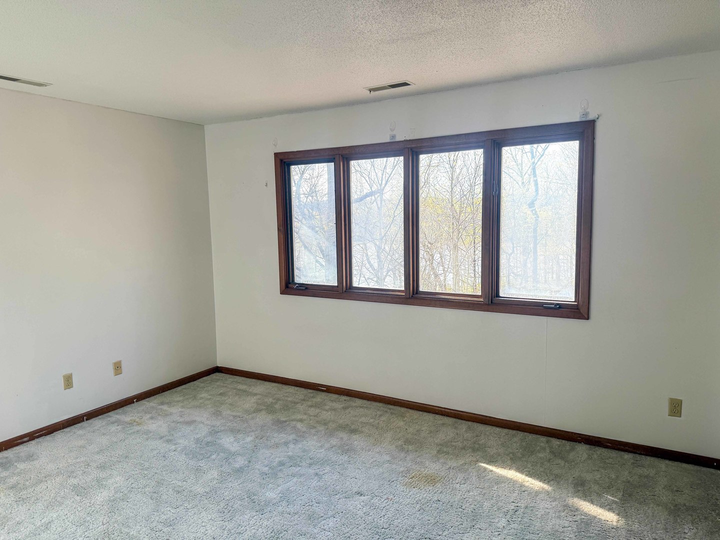 1139 Lakeridge Road Danville, IL 61832 - Photo 24 of 39